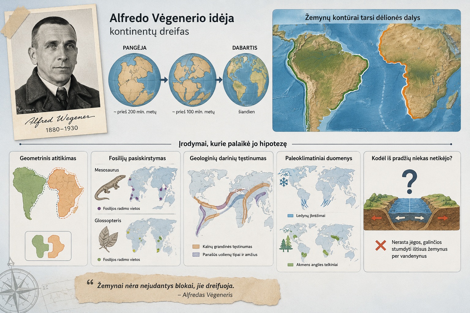 Infografikoje vaizduojama Alfredo Vėgenerio kontinentų dreifo hipotezė. Kairėje pusėje matomas nespalvotas vokiečių mokslininko Alfredo Vėgenerio portretas. Viršuje centre pavaizduota, kaip prieš maždaug 200 milijonų metų visi žemynai sudarė vieną superkontinentą Pangėją, kuris palaipsniui suskilo ir virto dabartiniu pasaulio žemėlapiu. Dešinėje parodytos Pietų Amerikos ir Afrikos pakrantės, kurios dera tarpusavyje tarsi dėlionės detalės.
Apatinėje paveikslėlio dalyje keturiais pavyzdžiais paaiškinami pagrindiniai Vėgenerio įrodymai: sutampančios žemynų formos, vienodos gyvūnų ir augalų fosilijos skirtinguose žemynuose, panašios kalnų grandinės bei uolienos abipus Atlanto vandenyno ir senovinio klimato pėdsakai, rodantys, kad žemynai anksčiau buvo kitose vietose. Paskutiniame langelyje pabrėžiama, kad Vėgenerio laikais mokslininkai jo idėja netikėjo, nes tuo metu dar nebuvo žinoma, kokia jėga galėtų judinti ištisus žemynus. Apačioje pateikiama Vėgenerio mintis, jog žemynai nėra nejudantys, o nuolat dreifuoja.